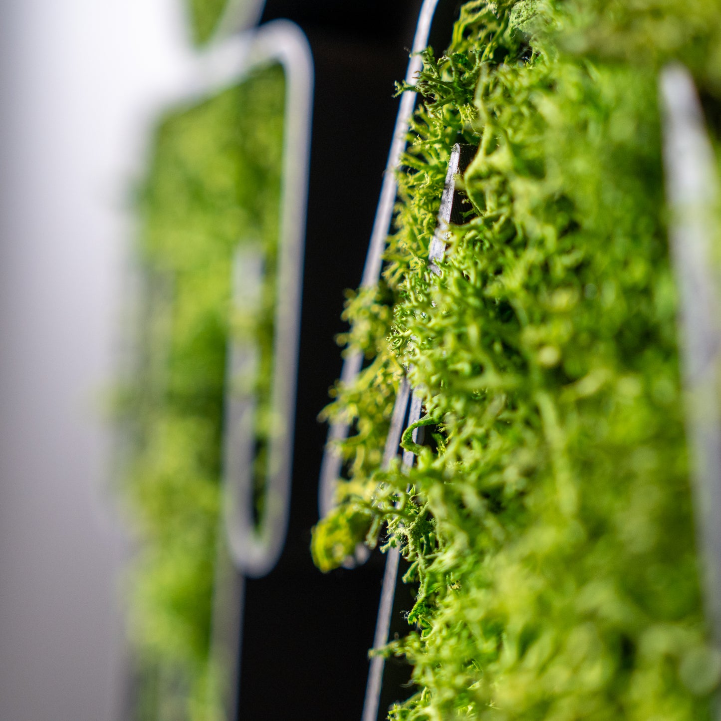 NatureSigns WC - Mooselier