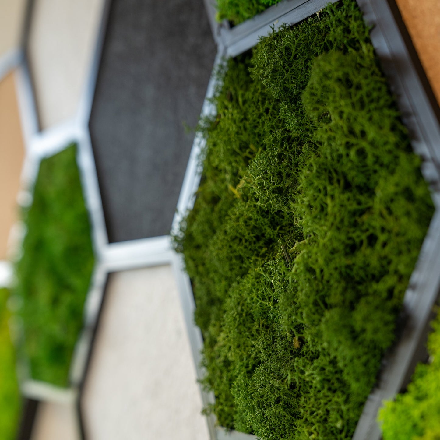 HexaFlow M Konfigurator - Mooselier