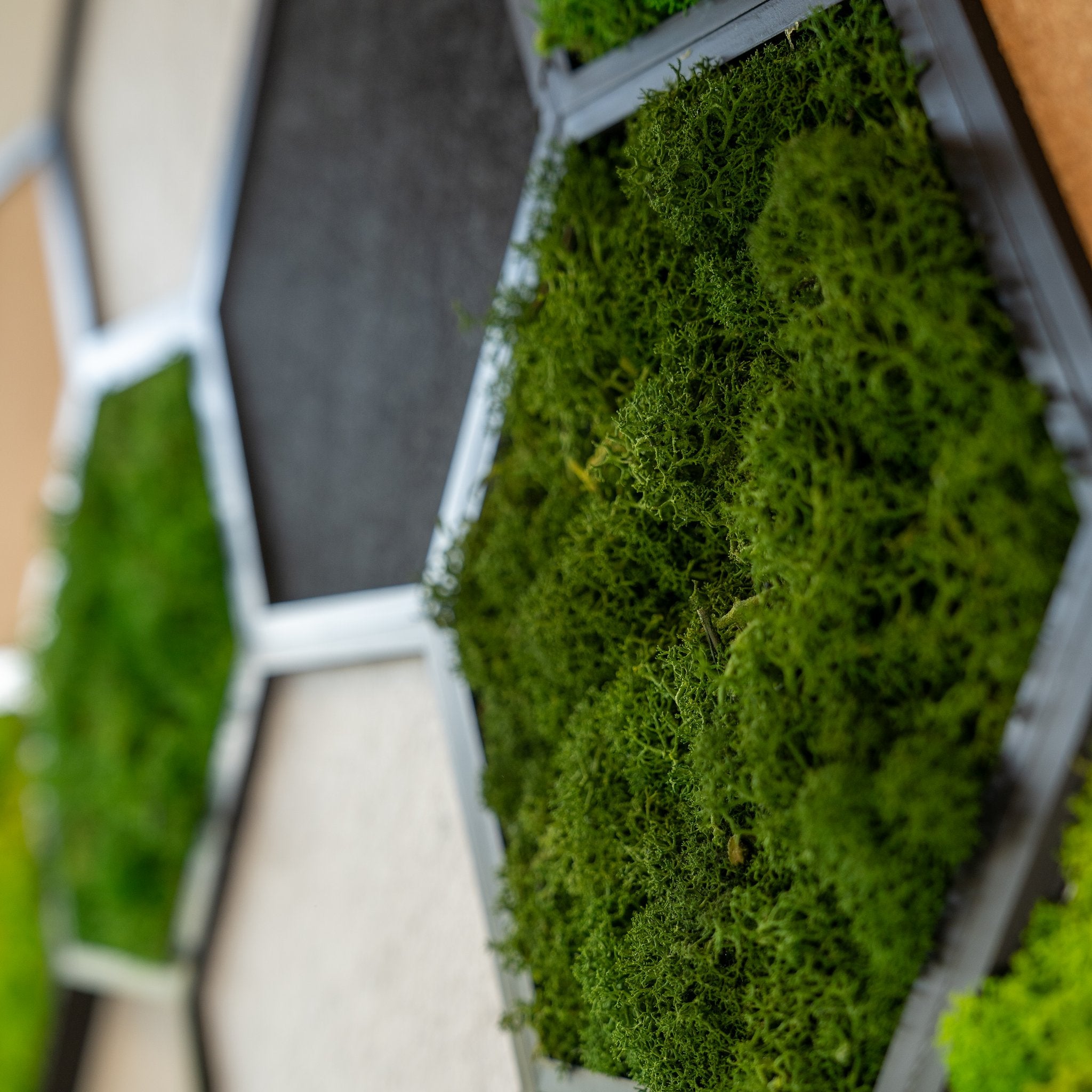 HexaFlow M Konfigurator - Mooselier